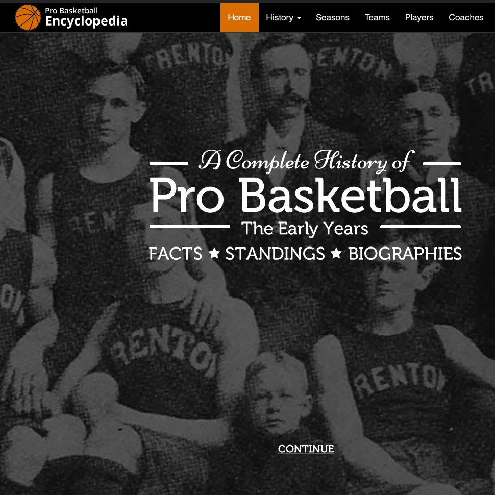Website design — basketball program